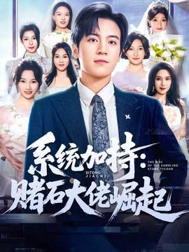 统加持：赌石大佬崛起(全集)