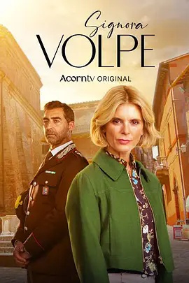 狐狸女士第三季