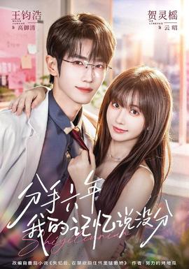 分手六年我的记忆说没分(全集)